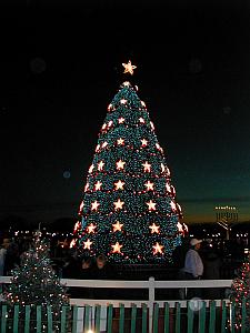 The national Christmas Tree in DC.&nbsp; Not as tacky as last two years.