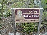 A preserve trying to save the endangered Key Deer (400 in existance)