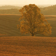 Sunrise in the Maryland Countryside
