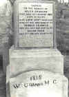 grainger.jpg (32803 bytes)