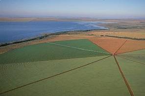 lavoura de soja