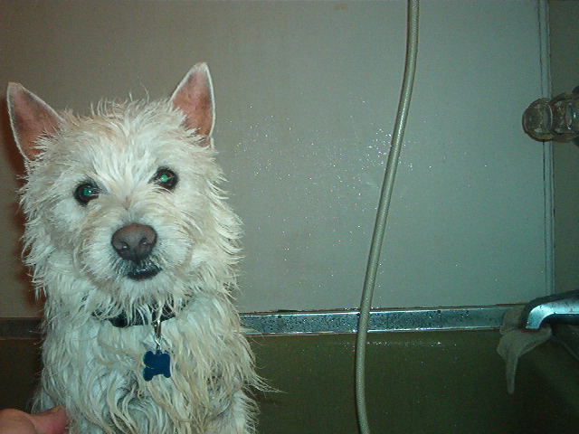 Nice and Clean