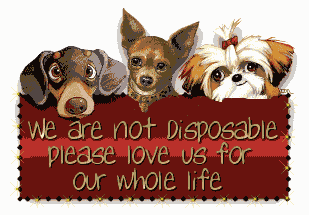 Read about this horrible puppymill bust