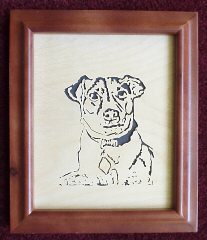 Cleo, a Jack Russell