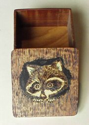 Raccoon Box
