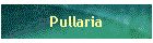 Pullaria