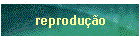 reprodu��o