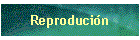 Reproduci�n