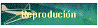 Reproduci�n