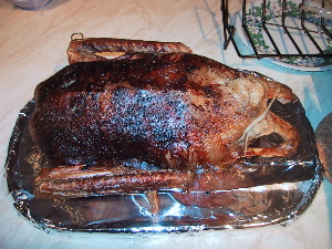 Goose