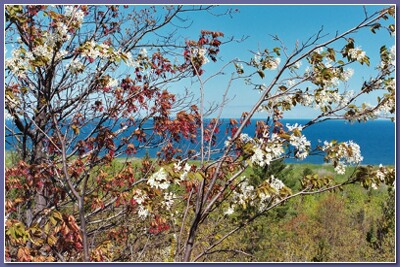[Blue sky, deep blue lake, red and white blossoms]