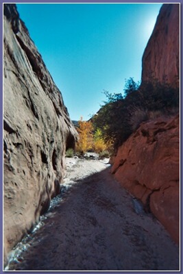 [Willow Gulch]
