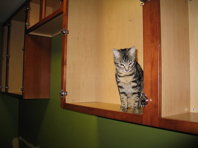 Raja checks things out