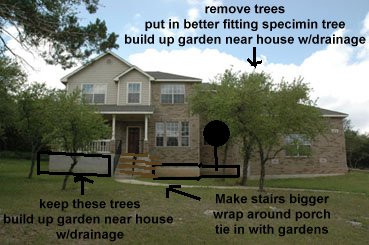 future plan
