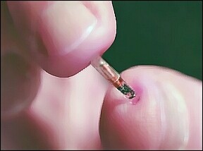 Microchip implant. Once you accept one of these, it's game over. Think about it.