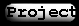 Project
