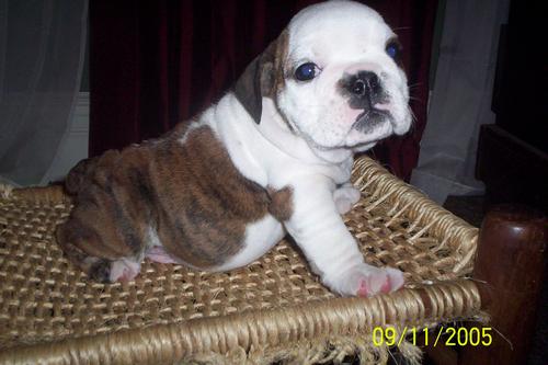Male $1500 