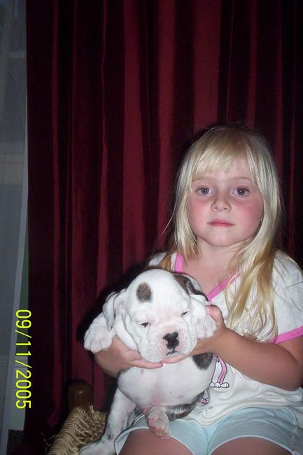 Male White w/Brindle markings $1500.