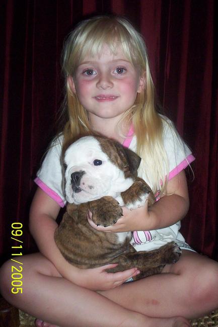 Female Brindle w/white markings $1500