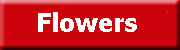 Click to view 

Images of Flowers