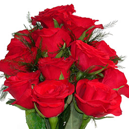 Roses for You