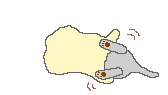 /user/Cat_in_bag.gif