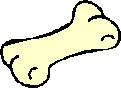 /user/bone.jpg
