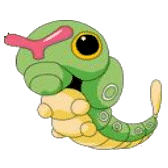 /user/caterpie.gif
