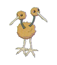 /user/doduo.gif