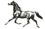 /user/horse_4.gif