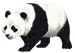 /user/pandy.gif