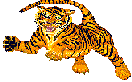 /user/tiger11.gif