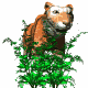 /user/tigerWHT.gif
