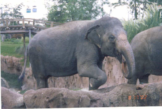 Busch Gardens 2002