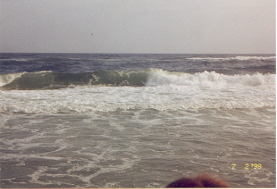 the Gulf of Mexico