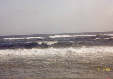 The Gulf of Mexico