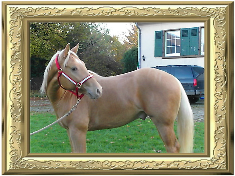 His first Babies 2009-look at the pictures!!!!