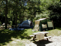 We put our tents up on the top of a hill, at the edge of a forest, with a gentle breeze blowing over us.