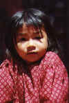 beaute_nepal.jpg (37719 bytes)