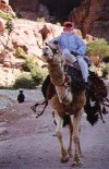 chameau_petra.gif (70119 bytes)