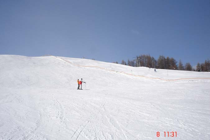 DSC00535