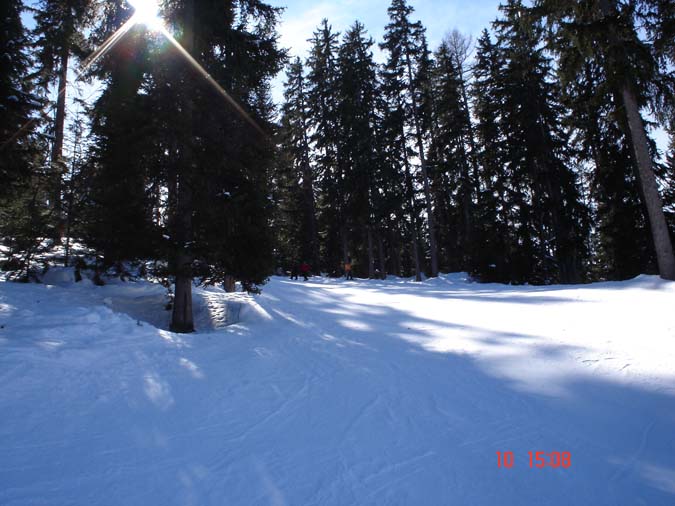 DSC00569