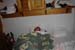 DSC00528