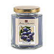 Blueberry