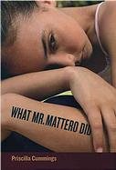 cover art from What Mr. Mattero Did