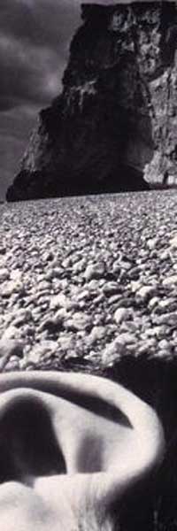 A photo of Bill Brandt - Sans titre