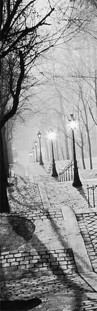 A photo of Brassai - les escaliers de Montmartre