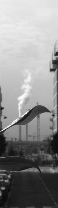 A Photo I shot in 2004 near the BNF