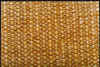 DRY_BRANCH2.jpg (120394 bytes)