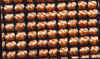 POLSAR-SISAL_1.jpg (105470 bytes)